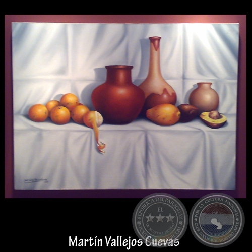 Martín Luis Vallejos Cuevas