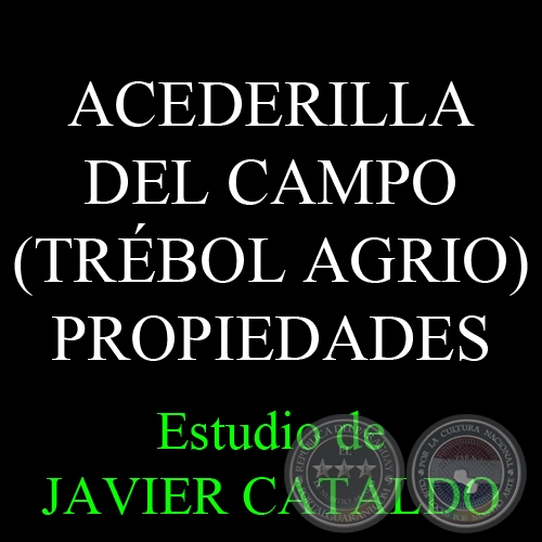 ACEDERILLA DEL CAMPO (TRBOL AGRIO) - PROPIEDADES - Estudio de JAVIER CATALDO 