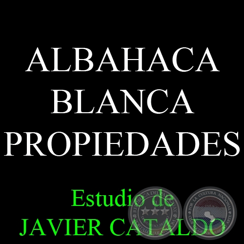 ALBAHACA BLANCA - PROPIEDADES - Estudio de JAVIER CATALDO