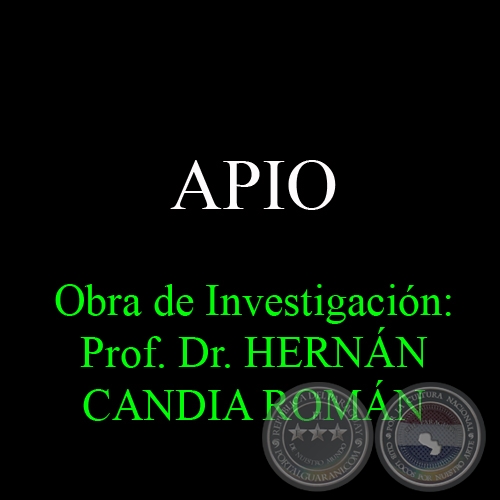 APIO - Obra de Investigacin: Prof. Dr. HERNN CANDIA ROMN