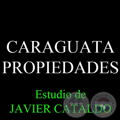 CARAGUATA - PROPIEDADES - Estudio de JAVIER CATALDO