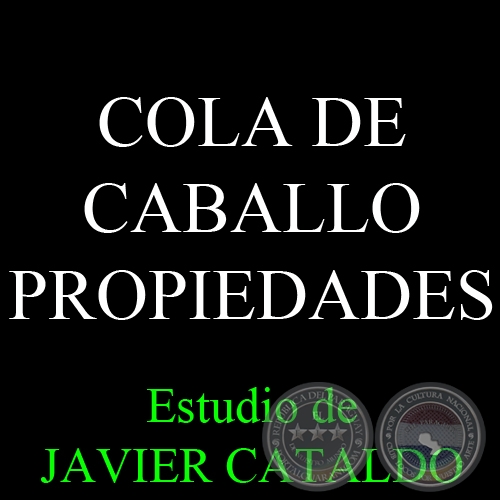 COLA DE CABALLO - PROPIEDADES - Estudio de JAVIER CATALDO
