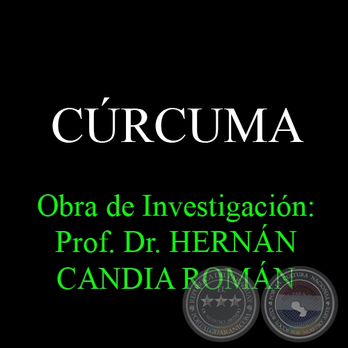 CRCUMA - Obra de Investigacin: Prof. Dr. HERNN CANDIA ROMN