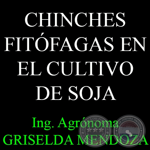 CHINCHES FITFAGAS EN EL CULTIVO DE SOJA - Por Ing. Agr. GRISELDA MENDOZA