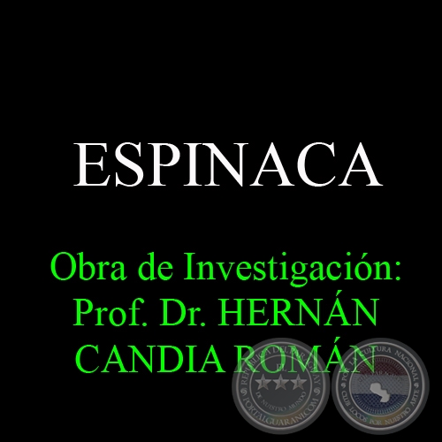 ESPINACA - Obra de Investigacin: Prof. Dr. HERNN CANDIA ROMN