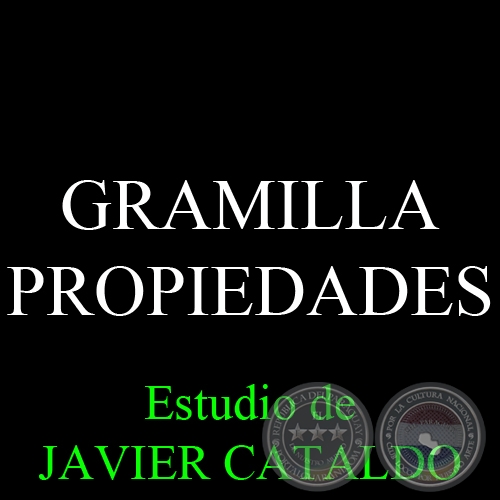 GRAMILLA - PROPIEDADES - Estudio de JAVIER CATALDO