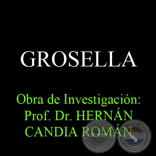 GROSELLA - Obra de Investigacin: Prof. Dr. HERNN CANDIA ROMN