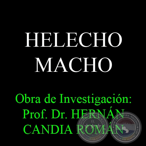 HELECHO MACHO - Obra de Investigacin: Prof. Dr. HERNN CANDIA ROMN