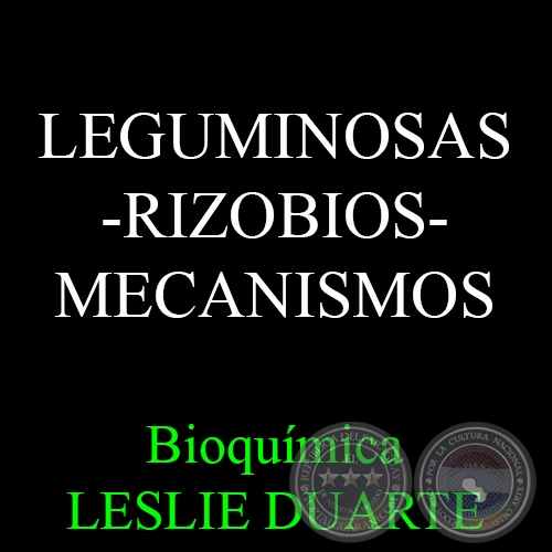 LEGUMINOSAS-RIZOBIOS-MECANISMOS - Bioqumica LESLIE DUARTE