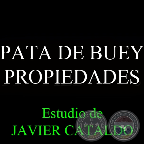 PATA DE BUEY - PROPIEDADES - Estudio de JAVIER CATALDO