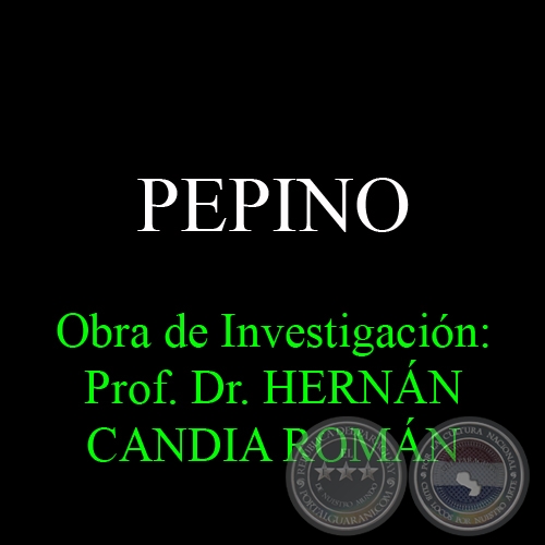 PEPINO - Obra de Investigacin: Prof. Dr. HERNN CANDIA ROMN
