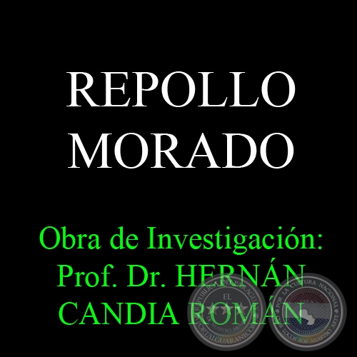 REPOLLO MORADO - Obra de Investigacin: Prof. Dr. HERNN CANDIA ROMN