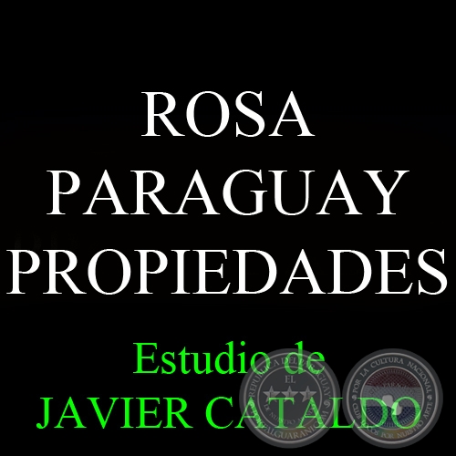 ROSA PARAGUAY - PROPIEDADES - Estudio de JAVIER CATALDO