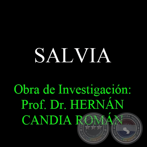 SALVIA - Obra de Investigacin: Prof. Dr. HERNN CANDIA ROMN