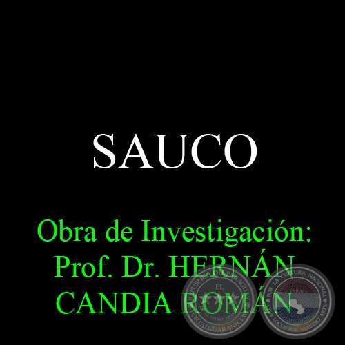 SAUCO - Obra de Investigacin: Prof. Dr. HERNN CANDIA ROMN