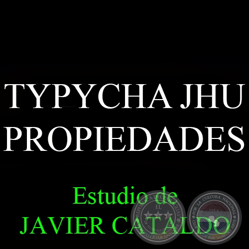 TYPYCHA JHU - PROPIEDADES - Estudio de JAVIER CATALDO