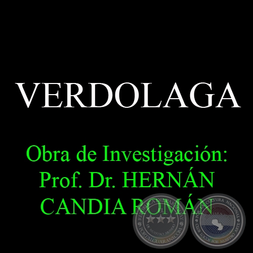 VERDOLAGA - Obra de Investigacin: Prof. Dr. HERNN CANDIA ROMN