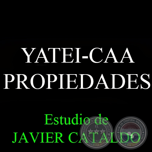 YATEI-CAA - PROPIEDADES - Estudio de JAVIER CATALDO