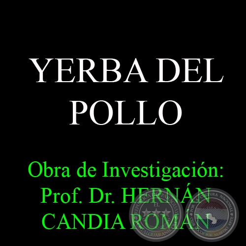 YERBA DEL POLLO - Obra de Investigacin: Prof. Dr. HERNN CANDIA ROMN