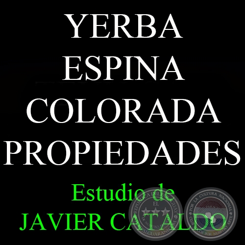 YERBA ESPINA COLORADA - PROPIEDADES - Estudio de JAVIER CATALDO