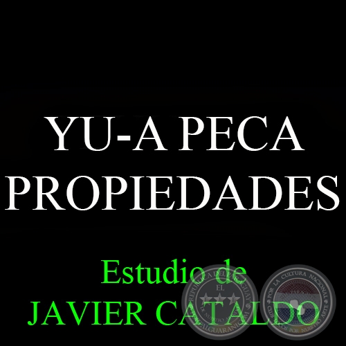 YU-A PECA - PROPIEDADES - Estudio de JAVIER CATALDO