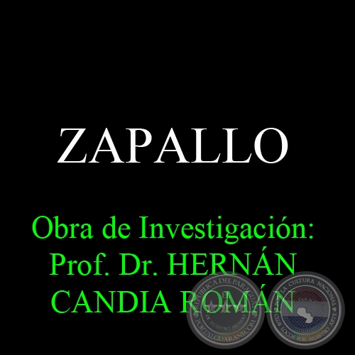ZAPALLO - Obra de Investigacin: Prof. Dr. HERNN CANDIA ROMN