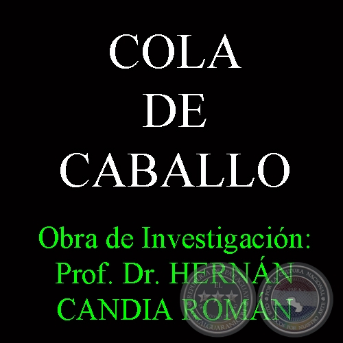 COLA DE CABALLO - Obra de Investigacin: Prof. Dr. HERNN CANDIA ROMN