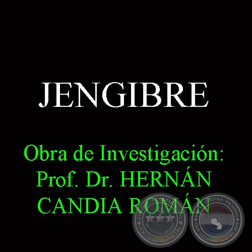 JENGIBRE - Obra de Investigacin: Prof. Dr. HERNN CANDIA ROMN