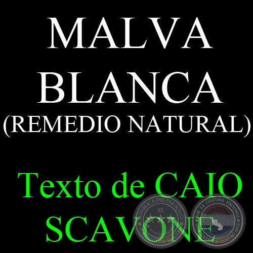 MALVA - Ing. Agr. CAIO SCAVONE