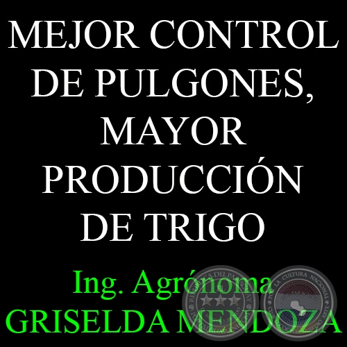 MEJOR CONTROL DE PULGONES, MAYOR PRODUCCIN DE TRIGO - Por Ing. Agr. GRISELDA MENDOZA 