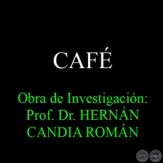 CAF - Obra de Investigacin: Prof. Dr. HERNN CANDIA ROMN