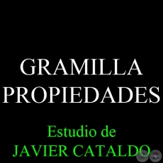 GRAMILLA - PROPIEDADES - Estudio de JAVIER CATALDO