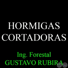 HORMIGAS CORTADORAS - Ing. Forestal GUSTAVO RUBIRA