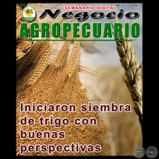 NEGOCIO AGROPECUARIO - N 11 - 13/05/13 - REVISTA DIGITAL