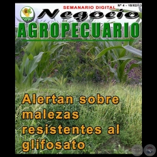 NEGOCIO AGROPECUARIO - Nº 4 - 18/02/13 - REVISTA DIGITAL