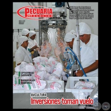 PECUARIA & NEGOCIOS - AO 8 - N 90 - REVISTA ENERO 2012 - PARAGUAY