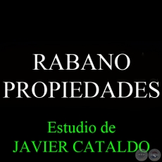 RABANO - PROPIEDADES - Estudio de JAVIER CATALDO