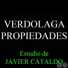 VERDOLAGA - PROPIEDADES - Estudio de JAVIER CATALDO