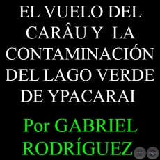 EL VUELO DEL CARÂU Y LA CONTAMINACIÓN DEL LAGO VERDE DE YPACARAI - Por GABRIEL RODRÍGUEZ