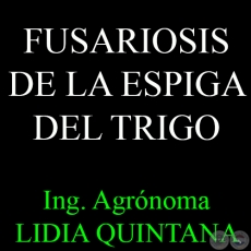 FUSARIOSIS DE LA ESPIGA DEL TRIGO - Ing. Agrnoma LIDIA QUINTANA DE VIEDMA