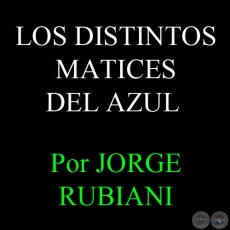 LOS DISTINTOS MATICES DEL AZUL - Por JORGE RUBIANI - Martes, 30 de Diciembre de 2008