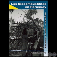 LOS BIOCOMBUSTIBLES EN PARAGUAY - Versin Resumida - Ao 2010