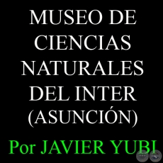 MUSEO DE CIENCIAS NATURALES DEL COLEGIO INTERNACIONAL - MUSEOS DEL PARAGUAY (54) - Por JAVIER YUBI