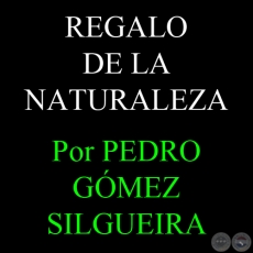 REGALO DE LA NATURALEZA - Por PEDRO GMEZ SILGUEIRA - Vienres, 24 de Agosto del 2012