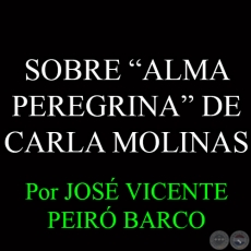 SOBRE ALMA PEREGRINA DE CARLA MOLINAS - Por JOS VICENTE PEIR BARCO - Diciembre 2014