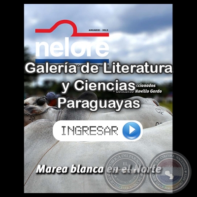 REVISTA NELORE