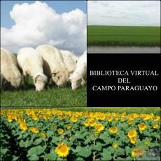 BIBLIOTECA VIRTUAL DEL CAMPO PARAGUAYO - AGRICULTURA - GANADERÍA - REVISTAS DIGITALES