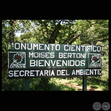 MONUMENTO CIENTFICO MOISES BERTONI