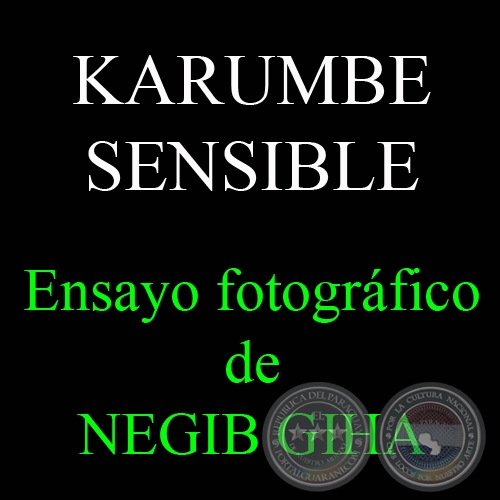 KARUMBE SENSIBLE, 2008 - Ensayo fotogrfico de NEGIB GIHA
