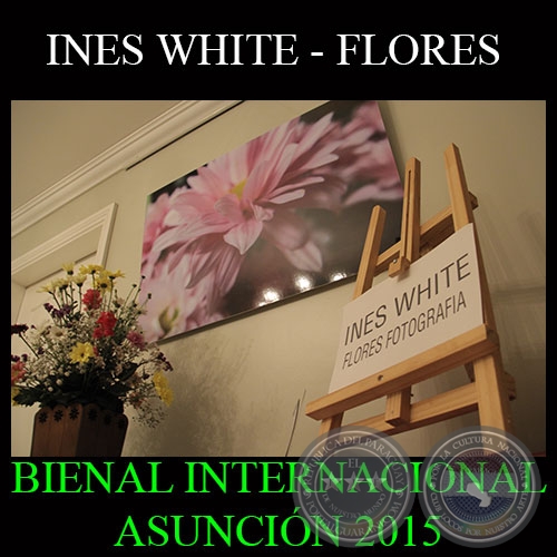 INES WHITE - FLORES FOTOGRAFA - BIENAL INTERNACIONAL ASUNCIN 2015
